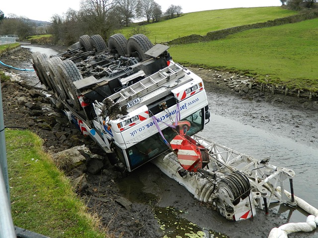 insurance