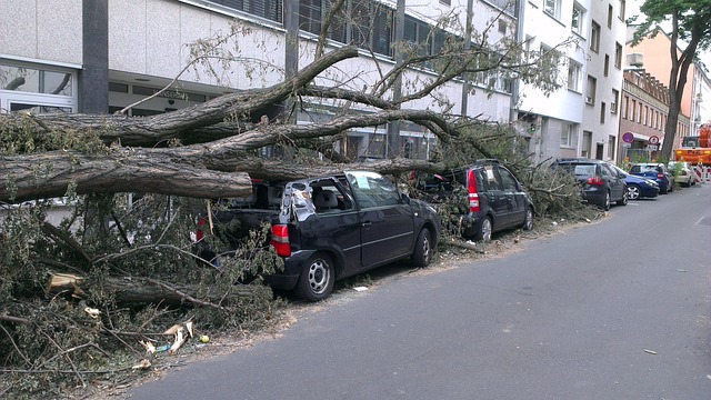 insurance